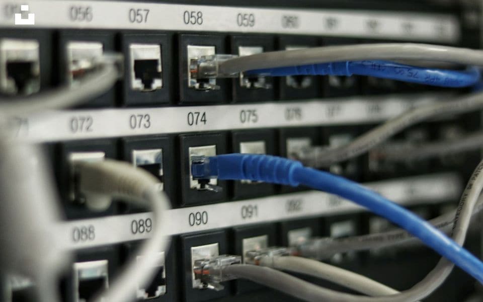 Cables de parcheo Ethernet conectados a puertos RJ45 en un panel de conexiones