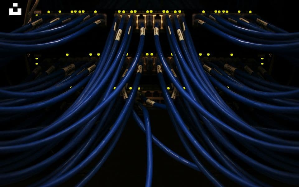Bundled blue Cat6 network patch cables connected into enterprise network switches